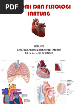Anatomi Dan Fisiologi Jantung Dr Heru Ppt