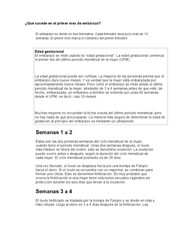 Qué Sucede En El Primer Mes De Embarazo