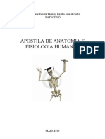 apostiladeanatomiahumana-130204234409-phpapp02
