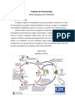 Ciclos de vida de 3 helmintos: Dipylidium caninum, Ancylostoma caninum e Toxocara canis