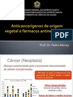 Anticancerígenos de origem vegetal e fármacos antineoplásicos