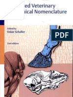 Illustrated Vet Anatomical Nomenclature