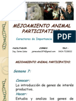 Mejoramiento Animal Participativo