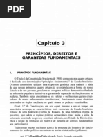 Capítulo 03 - Princípios, Direitos e Garantias Fundamentais
