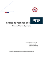 Sintesis_de_Vitaminas_en_el_Rumen.pdf