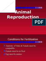 Animal Reproduction-By