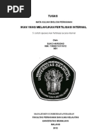  Contoh  Ikan Fertilisasi  Internal  Dan  Eksternal 