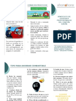 Tips ahorro combistible.pdf