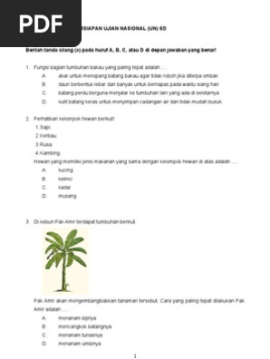 Soal Un Ipa Sd Pdf Ilmusosial Id
