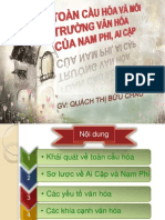 Toàn cầu hoá và MT Nam Phi