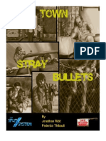 Stray Bullets