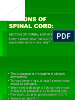 Lesions of Spinal Cord