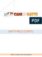 Gatti A Pelo Corto