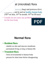 Flora Normal Gastro