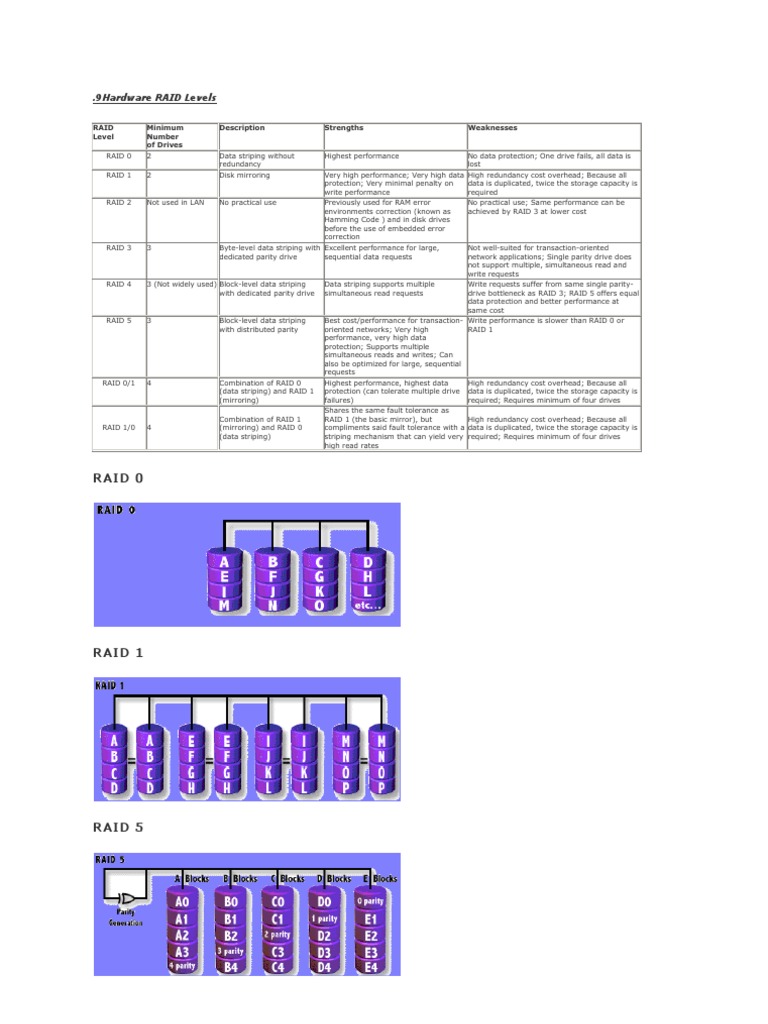 Hardware RAID Levels | PDF