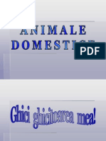 animale_domestice.pps