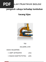 Download Laporan Praktikum Pengaruh Cahaya Terhadap Pertumbuhan Kacang Hijau by Sudi Harto SN127359467 doc pdf