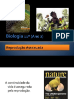 BG 14 - Reprodução Assexuada