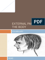 External Parts of The Body: Vocabulary