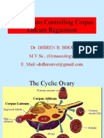 Mechanisms Controlling Corpus Luteum Regression-By:Dr.DHIREN BHOI