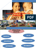 Enfoque y Principos Inicial Ultimo 2011