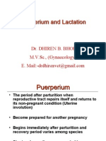 Puerperium and Lactation-By:Dr.DHIREN BHOI