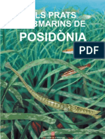 Els prats Submarins de Posidònia