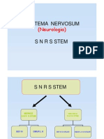 Si̇ni̇r Si̇stemi̇