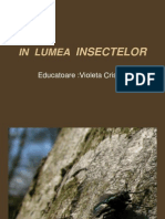 In Lumea Insectelor.