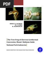 Download Tree Frog Final Report 2008 by irvanhakim SN12745508 doc pdf
