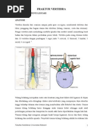 Fraktur Vertebra