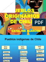 Pueblos originarios de Chile: culturas y características