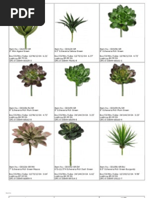 Succulents.pdf
