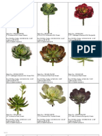 Succulents 2 PDF