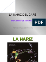 La Nariz Del CafÉ Taller