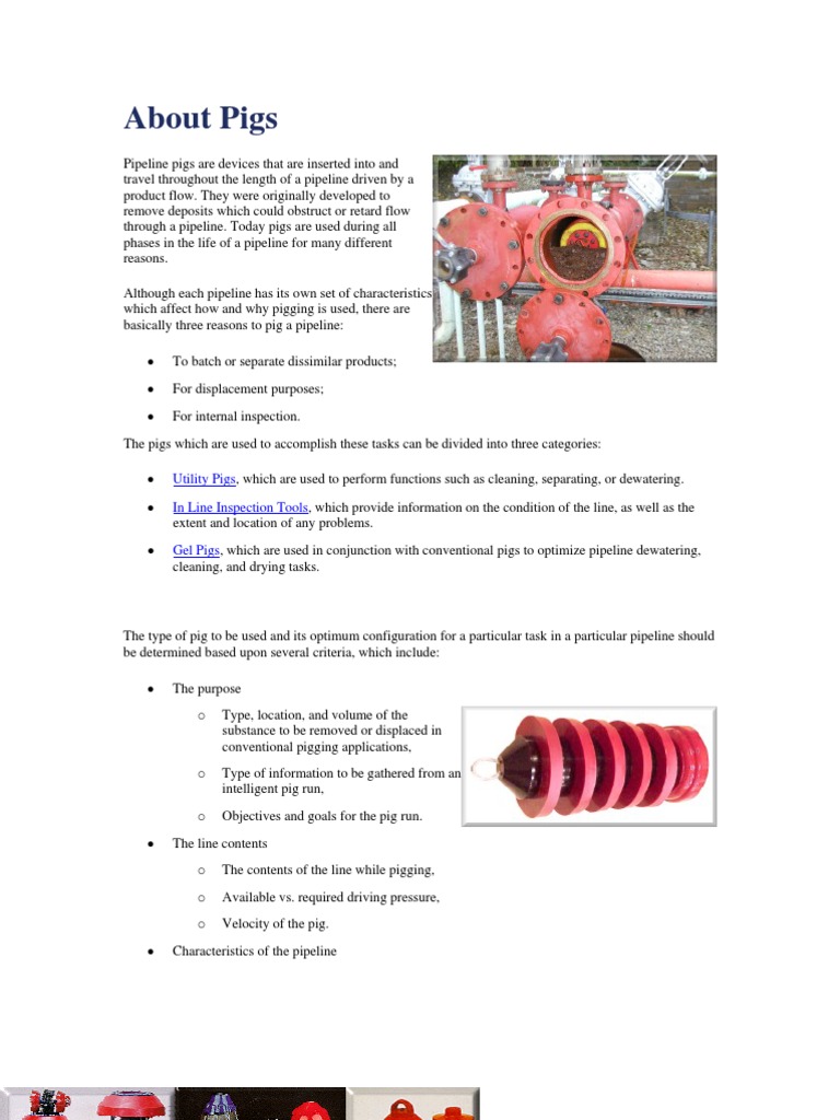 Pipeline Pigs Pipeline Transport Gel