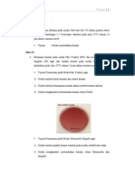 Download Prosedur pemeriksaan gall culture by AmyMarthaNingAti SN127517628 doc pdf