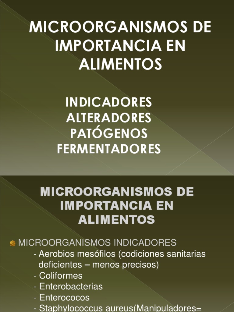 Microorganismos de Importancia en La Industria de Alimentos | PDF ...