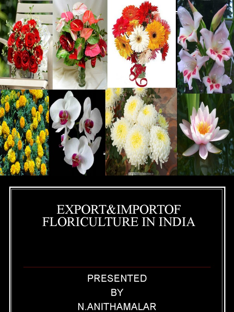 Floriculture In India : Commercial floriculture: Scope and importance ...