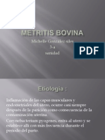Metritis Bovina Michelle Gonzalez Sile 3-A