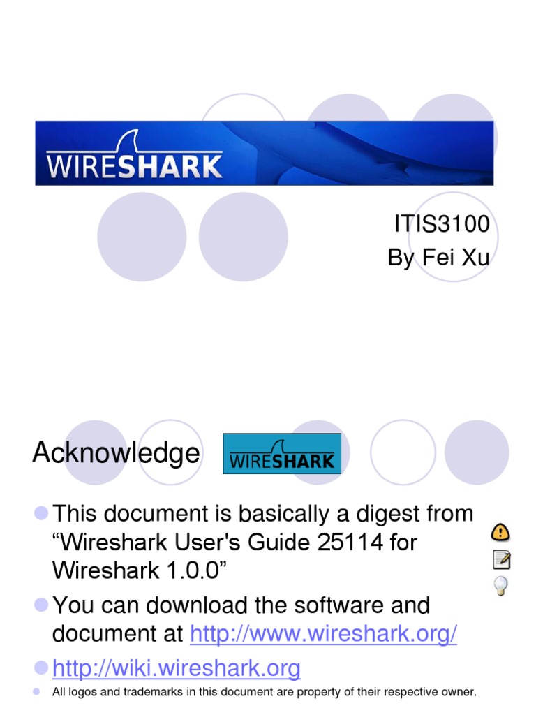 Wireshark User's Guide Overview | PDF