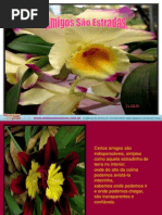 Amigos Sao Estradas Amizade