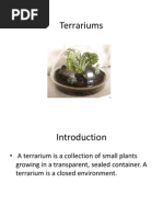 Terrariums