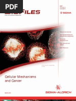 Download Cellular Mechanisms and Cancer - BioFiles Issue 24 by Sigma-Aldrich SN12763374 doc pdf