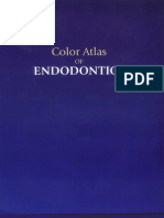 Color Atlas or Endodontics - Atlast de Endodontie