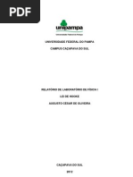 Relatorio de Fisica - Lei de Hooke.pdf