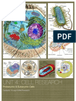 Unit 4: Initial Cell Research