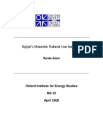 Egypt's Domestic Natural Gas Industry