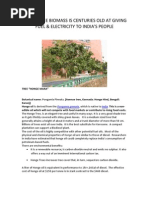 Honge Tree Biomass is Centuries Old at Giving Fuel