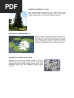 Download Ciri Khusus Tumbuhan by Ahmadi Nedjad SN127707387 doc pdf